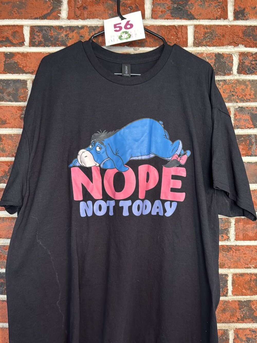 Eeyore NOPE NOT TODAY (56)